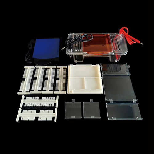 Sistema di elettroforesi per proteine - SVL-2 - Servicebio - per DNA / automatico / da banco