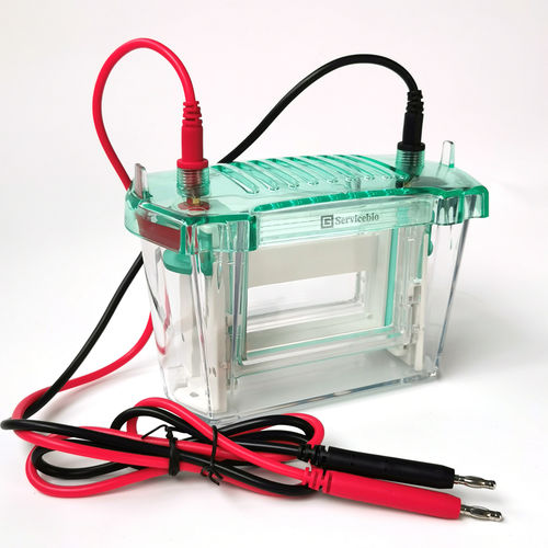Camera di elettroforesi per DNA - SVE-2 - Servicebio - per proteine / verticale