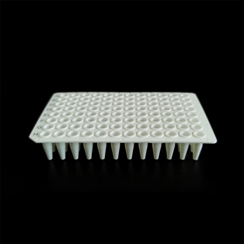 Micropiastra per PCR - PCR-9602W-NS - Servicebio - a fluorescenza / a 96 pozzetti