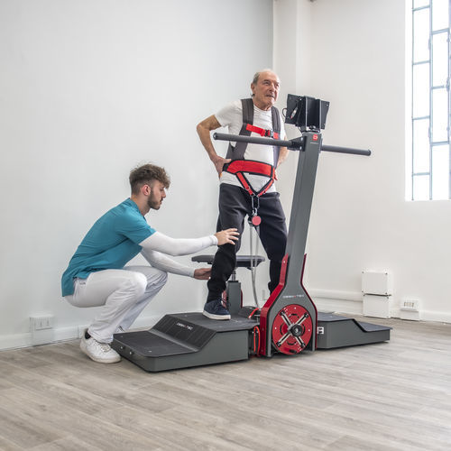 Sistema di riabilitazione equilibrio - D.PLUS - DESMOTEC SRL - marcia / della mobilità degli arti / informatizzato