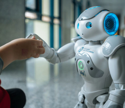 Robot da compagnia sociale - INROBICS SOCIAL ROBOTICS, S.L.L. - umanoide / per terapia di rieducazione / con videocamera 3D