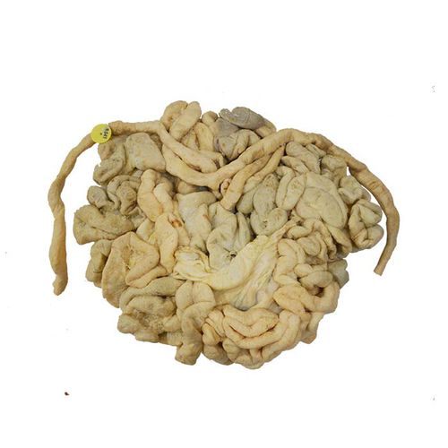 Modello anatomico intestino crasso - MWDW-032 - MeiWo Science - di intestino tenue / veterinario / ad uso didattico
