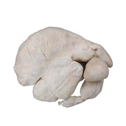 Modello anatomico di stomaco - MWDW-035 - MeiWo Science - veterinario / ad uso didattico / di bovino