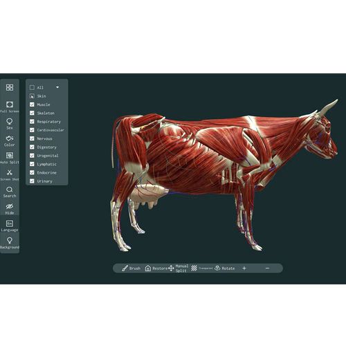 Software di visualizzazione 3D - MeiWo Science - di anatomia