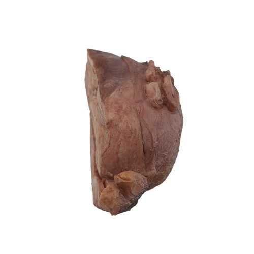 Modello anatomico di utero - PS-004 - MeiWo Science - ad uso didattico / in silicone