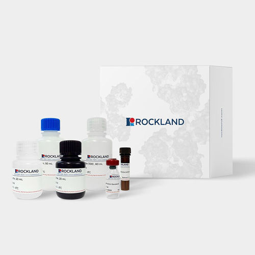 Kit ELISA - AccuSignal™ - Rockland Immunochemicals, Inc, - per malattie infettive / da ricerca / dell'Escherichia coli