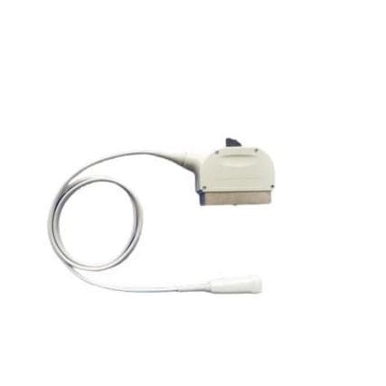 Sonda ecografica phased array - 5S  - Compatible Probes - addominale / ostetrica/ginecologica / piccole parti del corpo