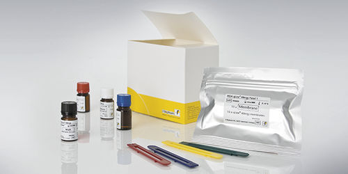 Kit di test allergico - RIDA qLine®  - R-Biopharm AG - di IgE specifica / di piombo / batteriologico