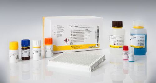 Kit di test Helicobacter pylori - RIDASCREEN® - R-Biopharm AG - per malattie gastrointestinali / da laboratorio / per feci
