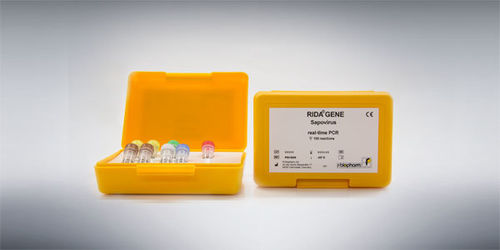 Kit di test del sapovirus - RIDA®GENE - R-Biopharm AG - per malattie gastrointestinali / di piombo / del norovirus
