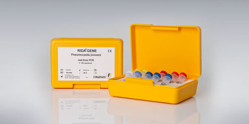 Kit di test di Pneumocystis jirovecii - RIDA®GENE - R-Biopharm AG - per malattie respiratorie / della polmonite / dell'HIV