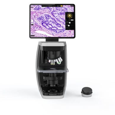 Microscopio ottico - Rebel - ECHO - da laboratorio / dritto / invertito
