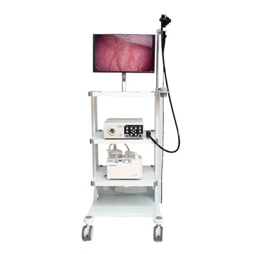 Gastroscopio veterinario video - VET-1508 - Gongjiang Endoscopy Instruments - con video monitor integrato / con canale operativo