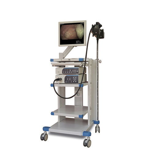 Colonna endoscopica per chirurgia digestiva endoscopica - EGT-100 - Gongjiang Endoscopy Instruments - per endoscopia a luce bianca
