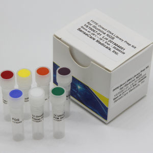 Kit di reagenti in soluzione - YST0188 series - Guilin Yourui Biotechnology Co., Ltd - NGS / per preparazione di banche del DNA