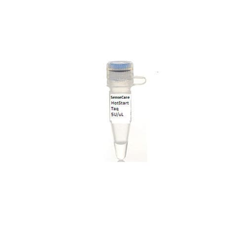 Reagente Taq polimerasi - YST0002 series - Guilin Yourui Biotechnology Co., Ltd - per PCR