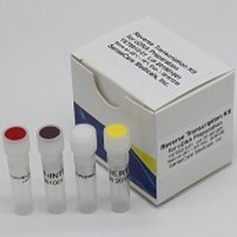 Kit di reagenti transcrittasi inversa - YST0010 series - Guilin Yourui Biotechnology Co., Ltd - per PCR