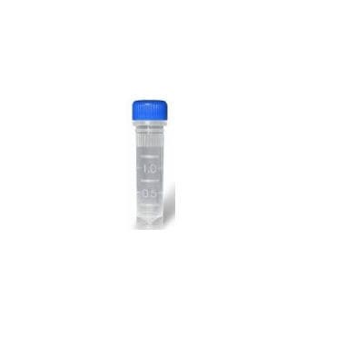 Reagente in soluzione - YST0011 series - Guilin Yourui Biotechnology Co., Ltd - Taq polimerasi / transcrittasi inversa / clinico