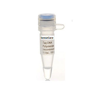Reagente enzima - YST0001 series - Guilin Yourui Biotechnology Co., Ltd - DNA polimerasi / Taq polimerasi / per PCR