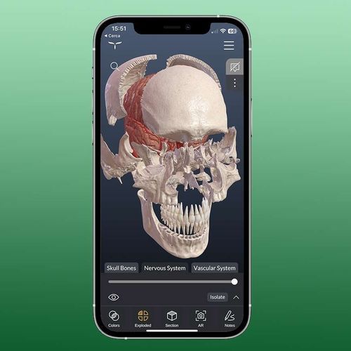 Applicazione mobile di modelizzazione - HeadAtlas - UpSurgeOn - medica / di anatomia / di testa