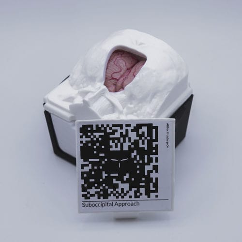 Simulatore didattico - SuboccipitalBox - UpSurgeOn - per chirurgia / per chirurgia / neurochirurgico