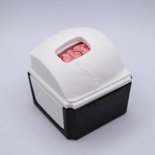 Simulatore didattico - InterhemisphericBox - UpSurgeOn - per assistenza generale / per chirurgia / neurochirurgico