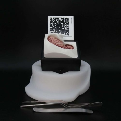 Simulatore per craniotomia - FluorescentBox - UpSurgeOn - per chirurgia / in kit / in realtà aumentata