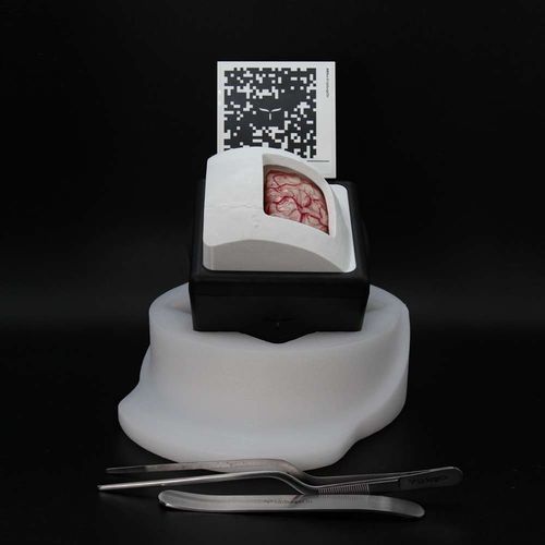 Simulatore didattico - BrainTumorBox - UpSurgeOn - per assistenza generale / di anatomia