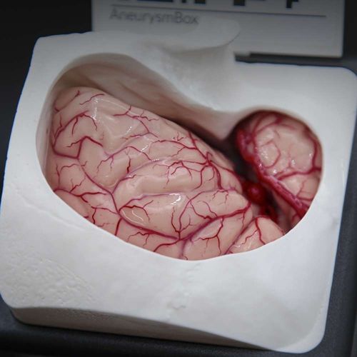 Simulatore didattico - AneurysmBox - UpSurgeOn - per craniotomia / per assistenza generale / per chirurgia