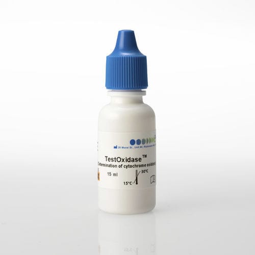 Test rapido per malattie infettive - TestOxidase™ - PRO - LAB Diagnostics Ltd. - citocromoossidasi / batteriologico