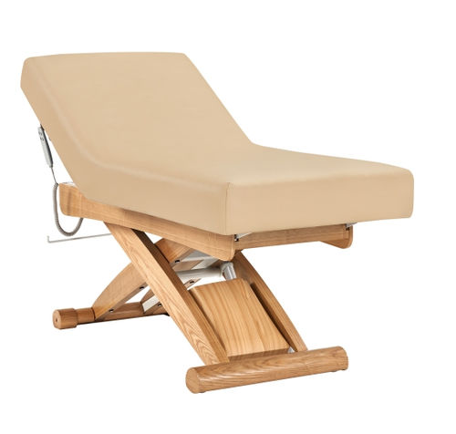 Lettino per spa elettrico - DST-1 - Jiangsu Sintang Health & Technology - su rotelle / a 2 sezioni