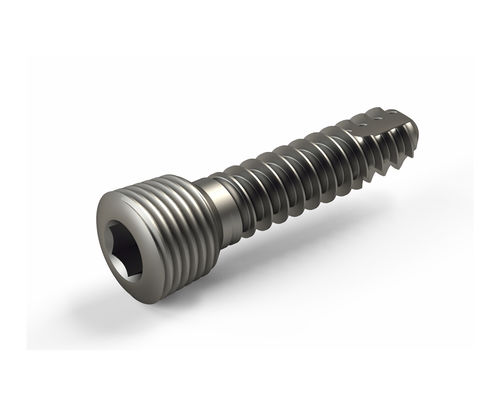 Vite per compressione ossea per piccoli frammenti ossei - 2T1-11813512 - Ases Orthopedics - bloccata