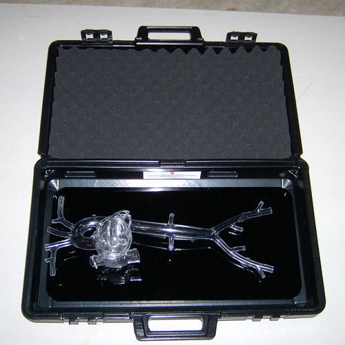 Modello anatomico cardiaco - Sam - Lake Forest Anatomicals, Inc. - per cataterismo / didattico / in plastica
