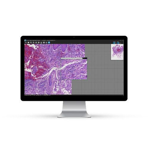 Software per microscopia virtuale - manualWSI - Microvisioneer - di analisi delle immagini / di condivisione / cloud