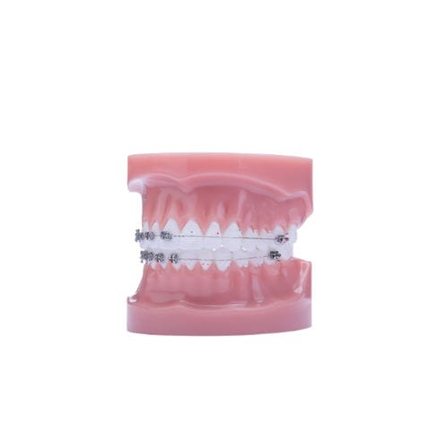 Tipodonto odontoiatrico - 19-441-108 - IOS, PC - per cure odontoiatriche / di dimostrazione / flessibile