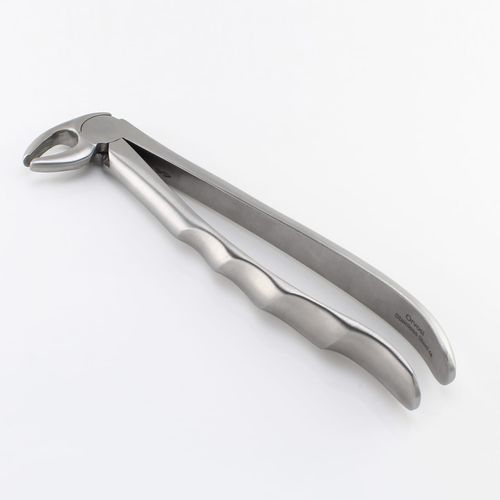 Pinza per estrazione denti per premolari - Orvosi instruments - tipo inglese