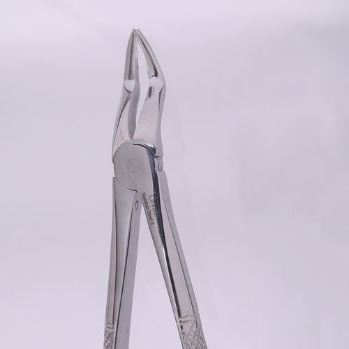 Pinza per estrazione denti per radici dentali - Orvosi instruments - tipo inglese