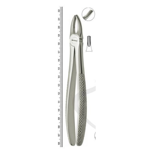 Pinza per estrazione denti per incisivi - Orvosi instruments - tipo inglese