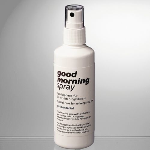 Polverizzatore disinfettante per igiene dentale - 02284 - DETAX GmbH - atomizzatore / palmare