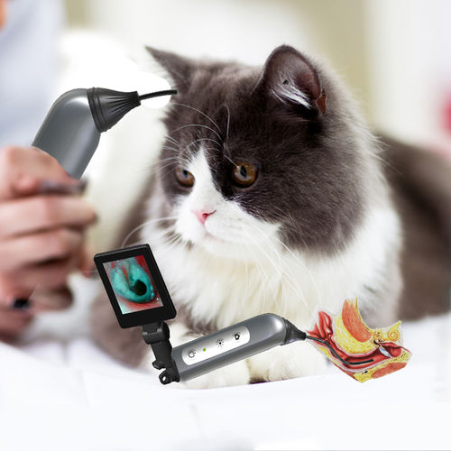otoscopio veterinario video - JZ Biotech