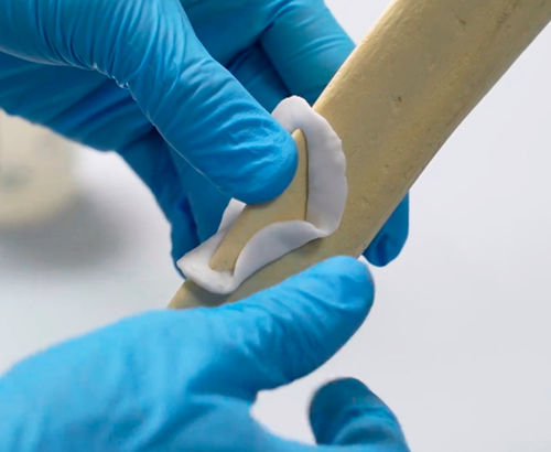 Sostituto osseo a uso veterinario osso sintetico - RB031 - JZ Biotech - conformabile