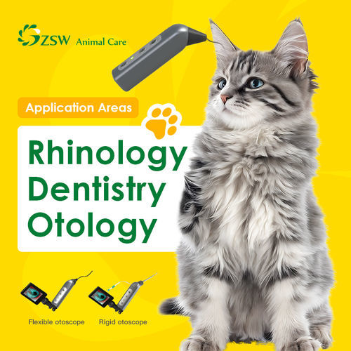 otoscopio veterinario video - JZ Biotech