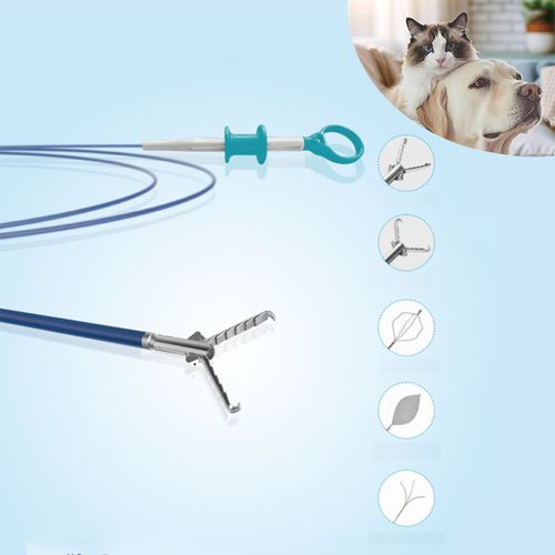 Pinza veterinaria - JZ-A-2312-11&nbsp; - JZ Biotech - per rimozione di corpi stranieri / dentellata