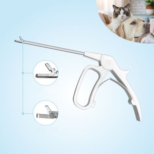 Pinza veterinaria - JZB-A-180 - JZ Biotech - per biopsia / monouso / dritta
