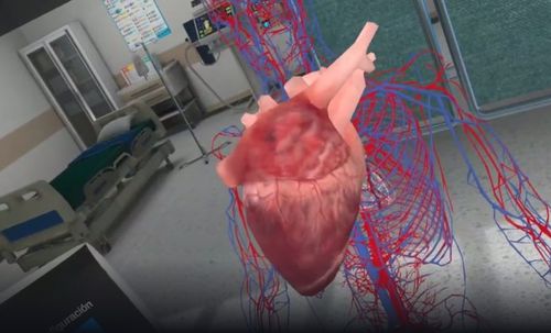 Simulatore di anatomia - MetaMedics - didattico / realtà virtuale