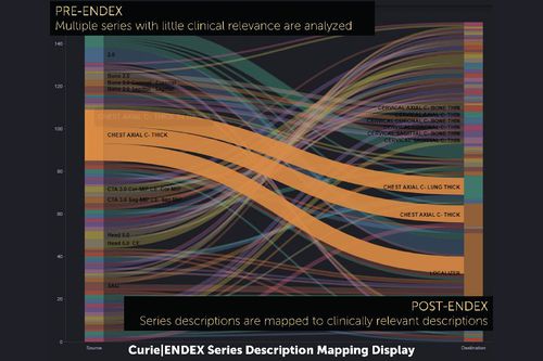 Applicazione web di gestione dati - ENDEX™ - Enlitic - di analisi di dati / di visualizzazione DICOM / per reportistica