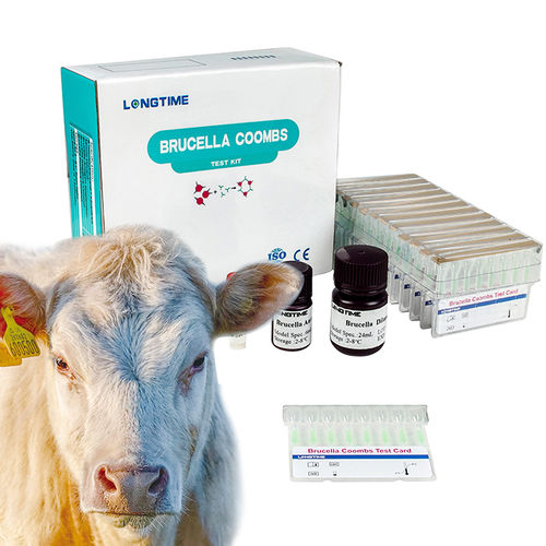 Kit di test per malattie infettive - Zhuhai Longtime Biological Technology Co., Ltd. - per animali / batteriologico / della Brucella