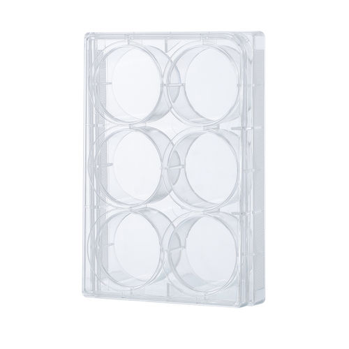 Micropiastra da laboratorio - SPCP series - Guangzhou Four E's Scientific Co., Ltd. - per coltura cellulare / a 24 pozzetti / a 12 pozzetti