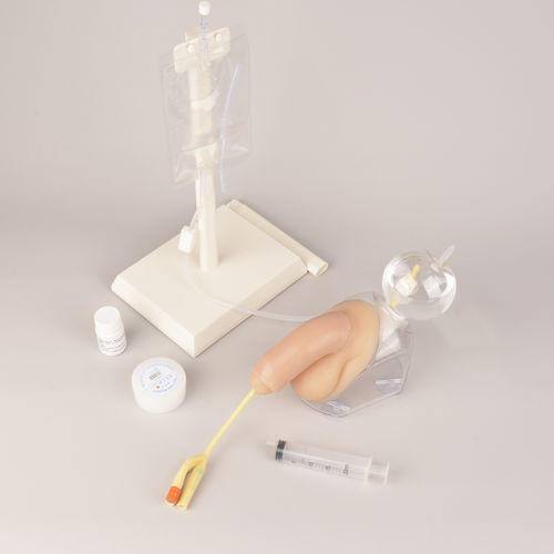 Simulatore didattico - MEQ05004 - MedEduQuest. - per cateterismo urinario / per assistenza generale / per cure cliniche