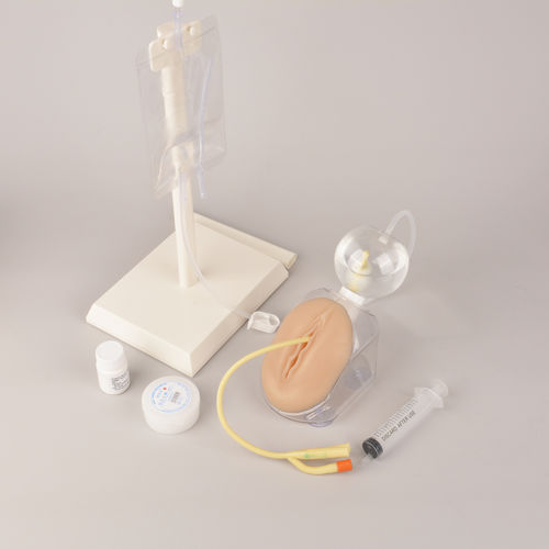 Simulatore didattico - MEQ05005 - MedEduQuest. - per cateterismo urinario / per assistenza generale / per cure cliniche